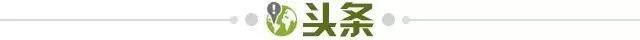 开云体育官网-【早报】扩军后世俱杯小组抽签出炉！